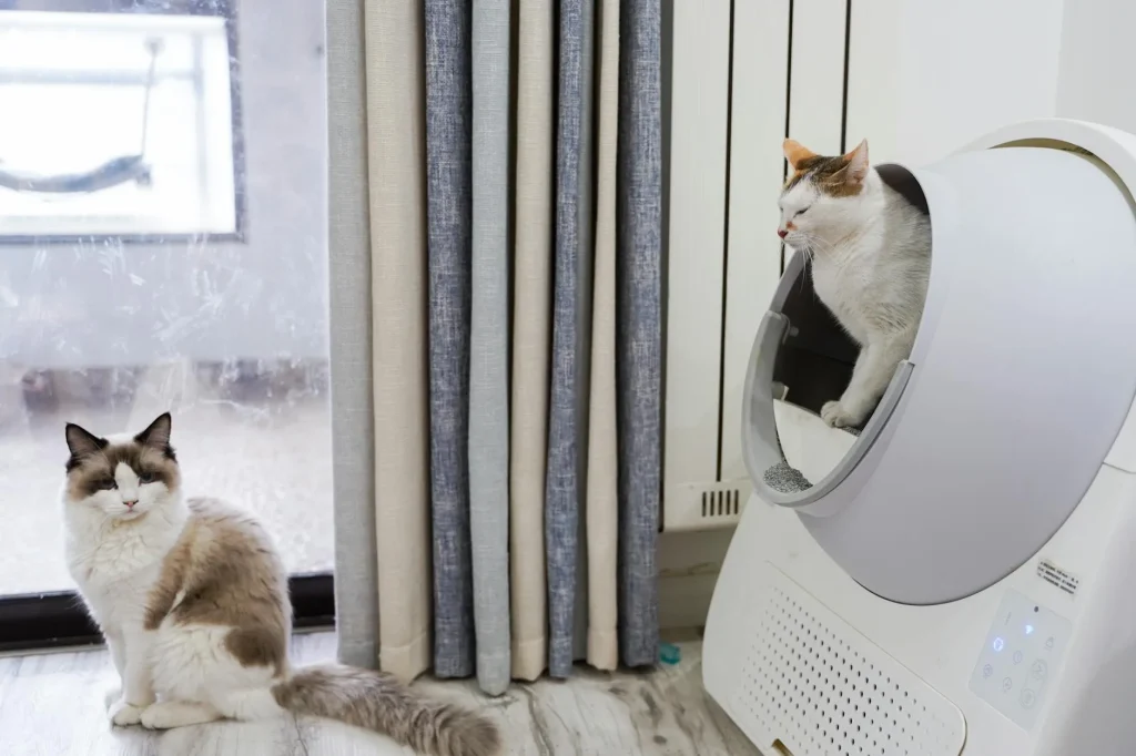 Cat next to a clean litter tray in a home setting