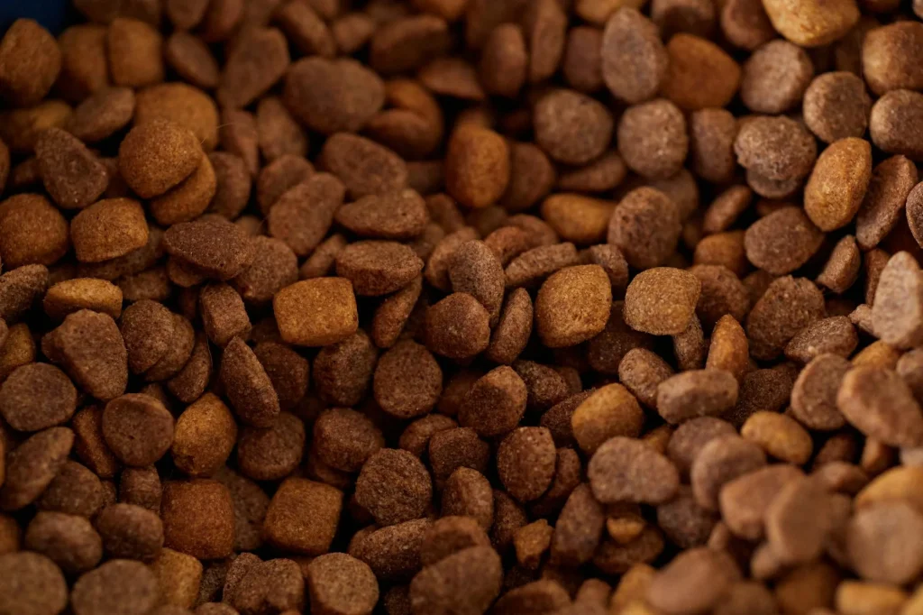 Close-up of high quality dog food kibble in a bowl