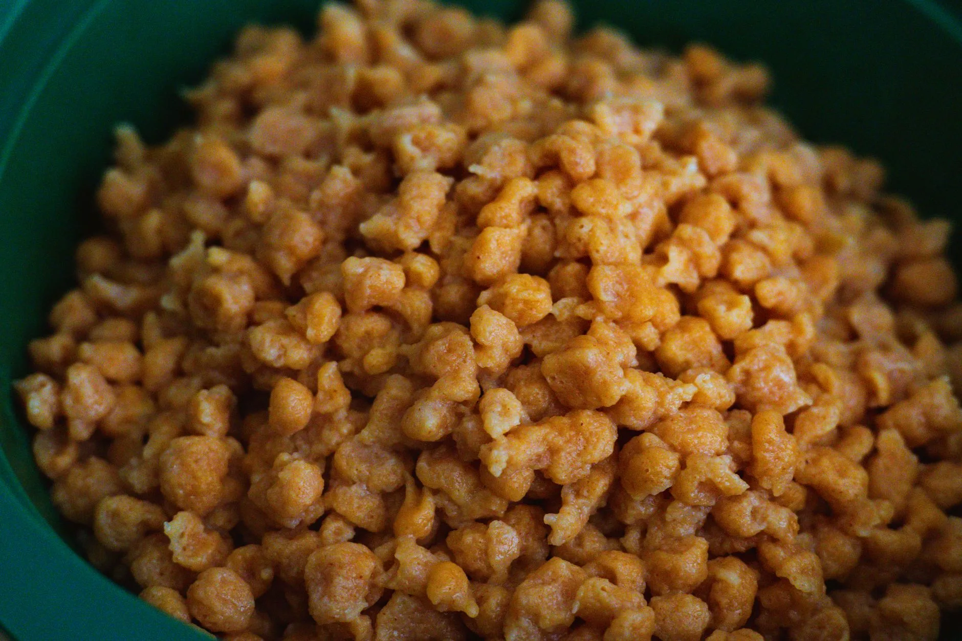 Close up of kibble in a bowl for senior dog feeding