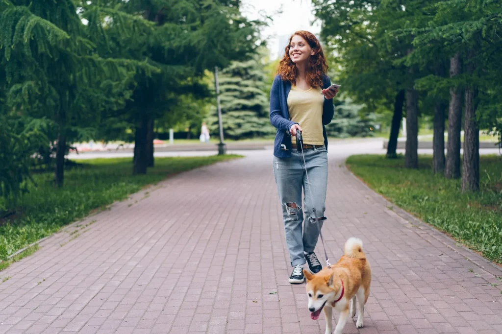 Dog walking on a relaxed lead beside owner in a park